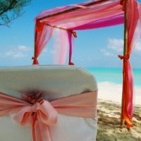 beach-theme-wedding-invitations